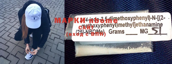 ECSTASY Алзамай