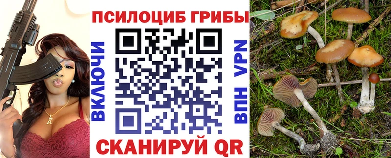 кракен онион  Березники  Псилоцибиновые грибы Psilocybine cubensis 
