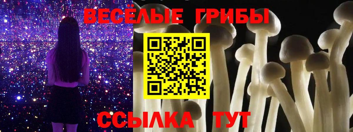 Березники  Галлюциногенные грибы GOLDEN TEACHER  Вход с VPN 